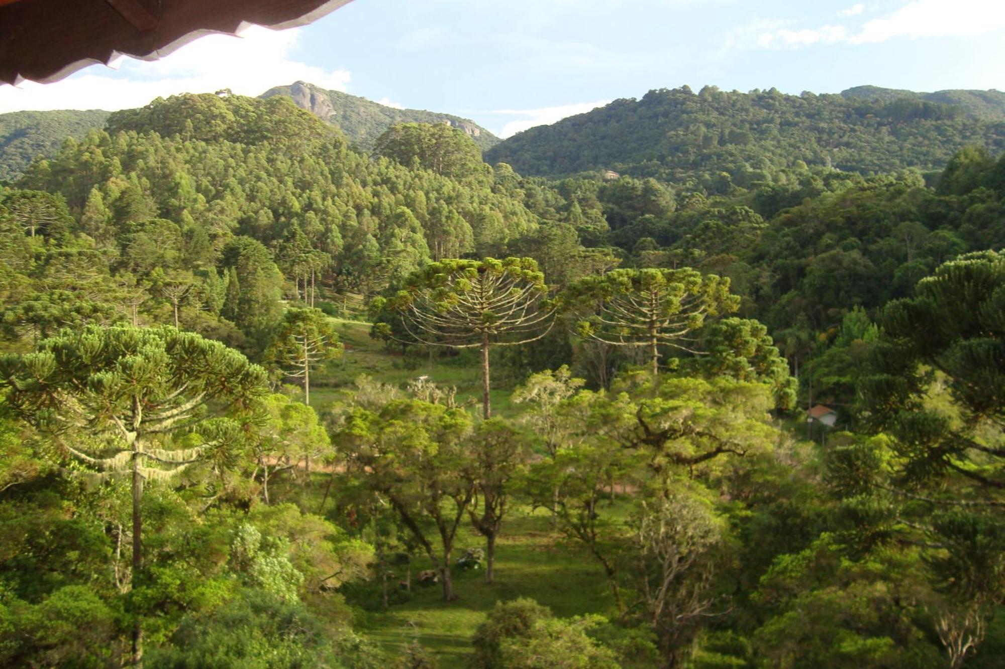 Hotel Piao Mineiro Monte Verde Kültér fotó